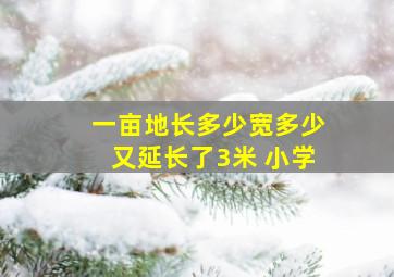 一亩地长多少宽多少又延长了3米 小学